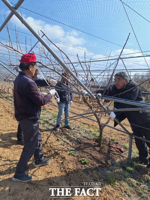 함평군 농업인상담소 관계자가 영농 현장을 찾아 농업인에게 기술지도를 하고 있다. /함평군