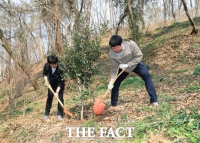  보성군, 식목일 맞아 '망제산 나무심기 행사' 개최