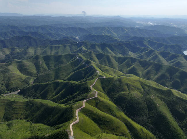 안동시가 산불 피해지에 민간 투자 유치를 위한 산림투자선도지구 지정을 추진한다. /안동시