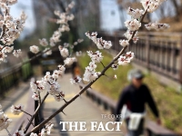  완연한 봄기운에 나들이객 '북적'…고속도로 서울 방향 오후 5시 정체 극심