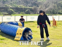  경기도, 내달부터 '반려마루 화성' 동물 교감 활동 프로그램 시작