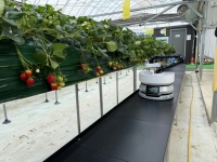  강남구, '로봇 테스트베드' 참여기업 모집…보조금 최대 3천만원