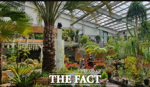 지난 2021년 3월 23일 A 씨가 당시 김 모 경북도 정무실장을 처음 만난 포항시 흥해읍 한 카페. /포항시