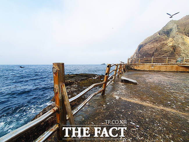 관광객들이 머무는 독도 방파제 난간대가 휘어지고 흔들거려 제 역할을 못 한 체 수개월째 방치되고 있다. /독자 제공