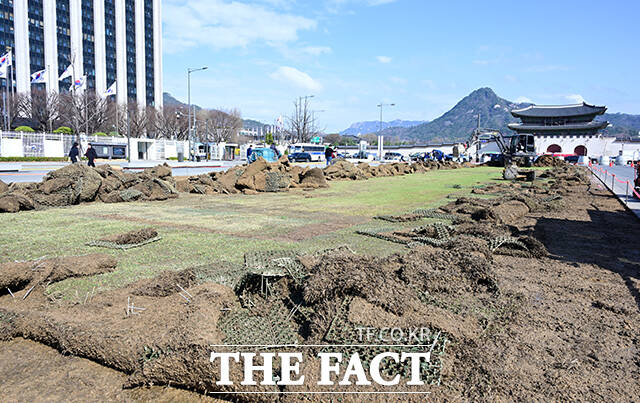 완연한 봄날씨를 되찾은 31일 오전 서울 종로구 광화문광장에는 BTS 컴백 공연 후 원상복구 작업을 겸한 봄맞이 잔디 교체 작업이 진행되고 있다. /임영무 기자