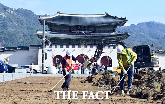 완연한 봄날씨를 되찾은 31일 오전 서울 종로구 광화문광장에는 BTS 컴백 공연 후 원상복구 작업을 겸한 봄맞이 잔디 교체 작업이 진행되고 있다. /임영무 기자