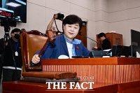  與, 법사위 임시위원장에 서영교 내정…