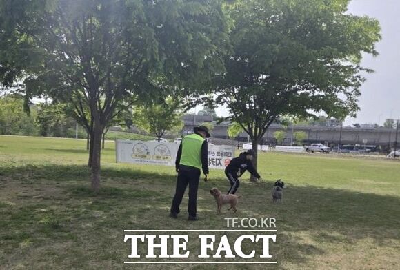 고양시 단속반 관계자들이 한강공원 내에서 반려동물 목줄 미착용 단속을 하고 있다. /고양시