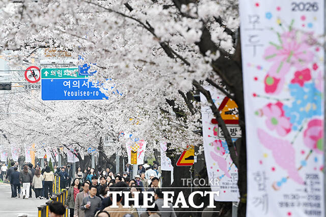 '성큼 다가온 봄' 벚꽃 즐기는 시민들.