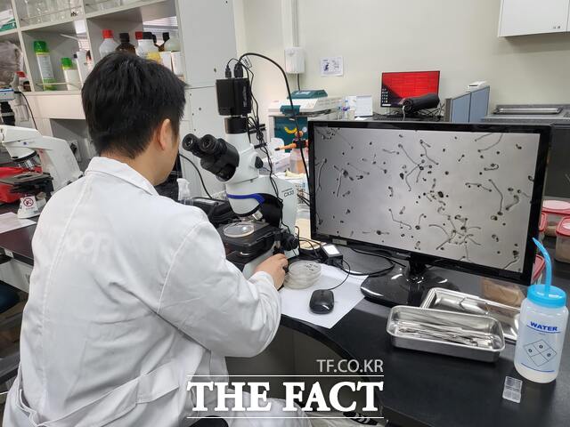 당진시농업기술센터 꽃가루 발아율 검정 서비스 장면 /당진시