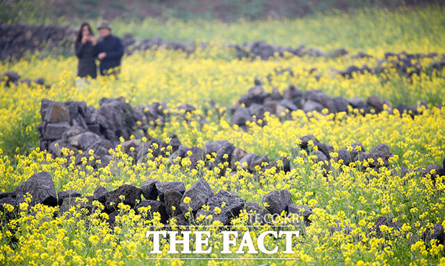 제주 4·3 희생자 제76주기 추념일을 맞는 3일 전국에 가끔 구름이 많다가 오후부터 차차 흐려져 밤부터는 전국적 비가 내릴 전망이다. 늦은 밤부터 제주도에는 강풍을 동반한 강한 비가 내리겠다./ 더팩트DB