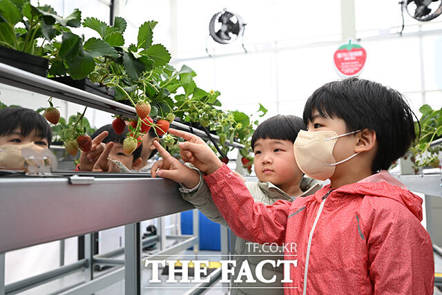 박강수 마포구청장(가운데)를 비롯한 내빈들이 '마포 스마트팜 체험관' 준공식에서 커팅식을 하고 있다.