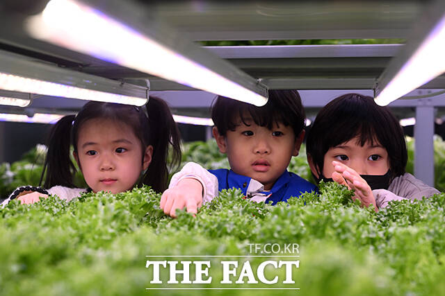 박강수 마포구청장(가운데)를 비롯한 내빈들이 '마포 스마트팜 체험관' 준공식에서 커팅식을 하고 있다.