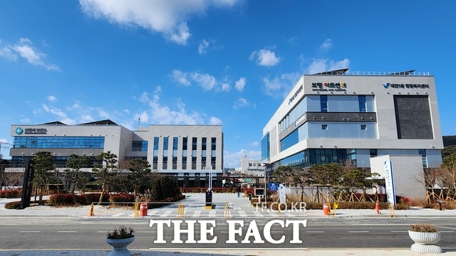 보령시 원도심 복합업무타운 전경. /보령시