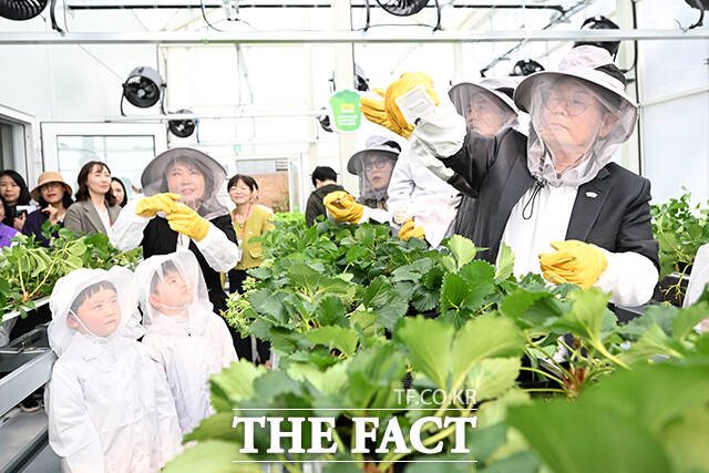 박강수 마포구청장이 2일 오후 서울 마포구 망원1-2공영주차장 지상부에 조성된 ‘마포 스마트팜 체험관’ 준공식에서 참석해 스마트온실에 뒤영벌을 방사하고 있다. /서예원 기자