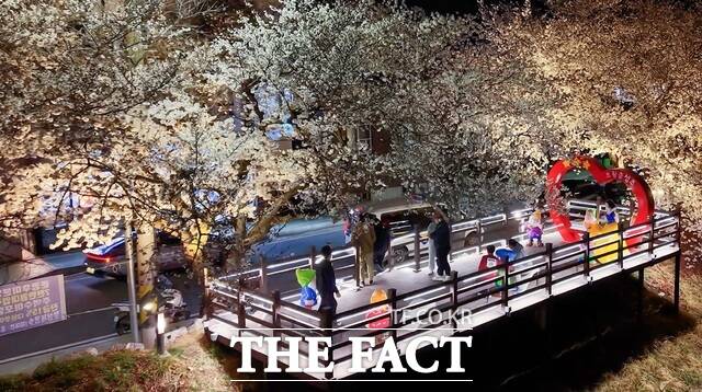 성주군이 성밖숲 데크 산책로에 벚꽃과 어우러지는 '참외덕후 백설공주' 테마 포토존을 조성, 조형물과 따뜻한 조명을 더해 가족 단위 방문객과 연인들의 발걸음을 멈추게 하고 있다. /성주군