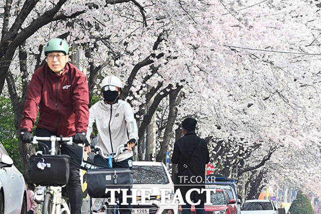 완연한 봄 날씨를 보인 3일 오전 서울 마포구 마포새빛문화숲을 찾은 외국인 관광객들이 벚꽃 아래에서 기념촬영을 하고 있다. /김성렬 기자