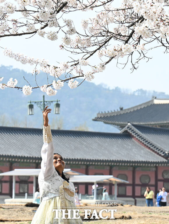 3일 오후 서울 종로구 사직로 경복궁 일대을 찾은 외국인 어린이 가족이 벚꽃 나무 아래서 기념촬영하며 봄 날씨를 만끽하고 있다. /이새롬 기자