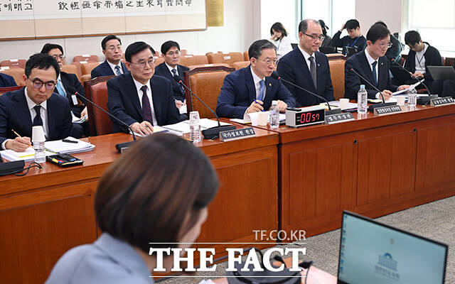 의원 질의에 답하는 정성호 법무부 장관(가운데)과 증인들.