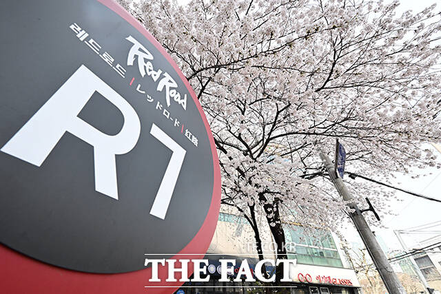 완연한 봄 날씨를 보인 3일 오전 서울 마포구 마포새빛문화숲을 찾은 외국인 관광객들이 벚꽃 아래에서 기념촬영을 하고 있다. /김성렬 기자