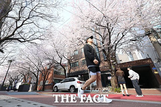 완연한 봄 날씨를 보인 3일 오전 서울 마포구 마포새빛문화숲을 찾은 외국인 관광객들이 벚꽃 아래에서 기념촬영을 하고 있다. /김성렬 기자