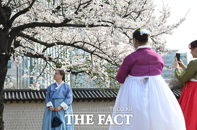 3일 오후 서울 종로구 사직로 경복궁 일대을 찾은 외국인 어린이 가족이 벚꽃 나무 아래서 기념촬영하며 봄 날씨를 만끽하고 있다. /이새롬 기자