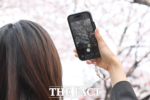 완연한 봄 날씨를 보인 3일 오전 서울 마포구 마포새빛문화숲을 찾은 외국인 관광객들이 벚꽃 아래에서 기념촬영을 하고 있다. /김성렬 기자