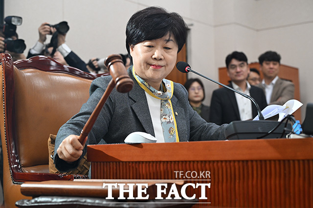 의사봉 두드리며 개의 선언하는 서영교 특위 위원장.