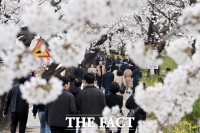  벚꽃 피는 4월…유통업계, '먹고, 보고, 즐기는' 상춘객 마케팅 총력