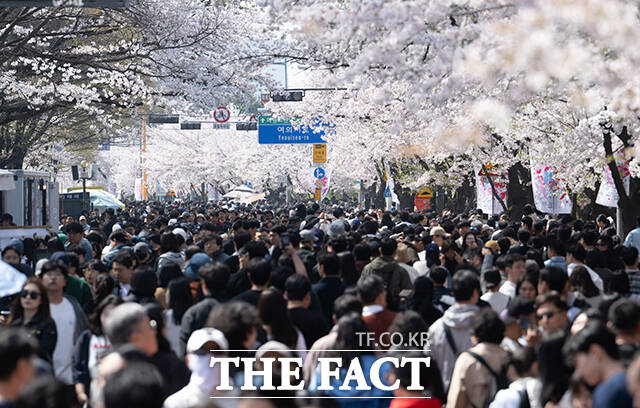 5일 오후 서울 여의도 윤중로가 '여의도 봄꽃축제'를 찾은 시민들로 북적이고 있다. /박헌우 기자
