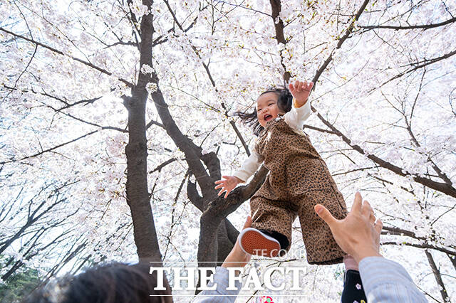 5일 오후 서울 여의도 윤중로가 '여의도 봄꽃축제'를 찾은 시민들로 북적이고 있다. /박헌우 기자