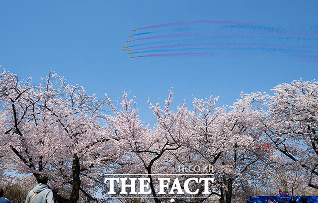 공군 특수비행팀 블랙이글스가 5일 오후 서울 여의도 상공에서 '여의도 봄꽃축제' 축하비행을 펼치고 있다. /박헌우 기자