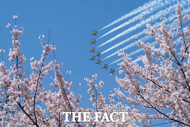 공군 특수비행팀 블랙이글스가 5일 오후 서울 여의도 상공에서 '여의도 봄꽃축제' 축하비행을 펼치고 있다. /박헌우 기자