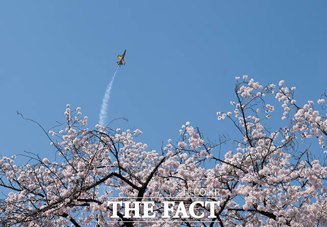 공군 특수비행팀 블랙이글스가 5일 오후 서울 여의도 상공에서 '여의도 봄꽃축제' 축하비행을 펼치고 있다. /박헌우 기자