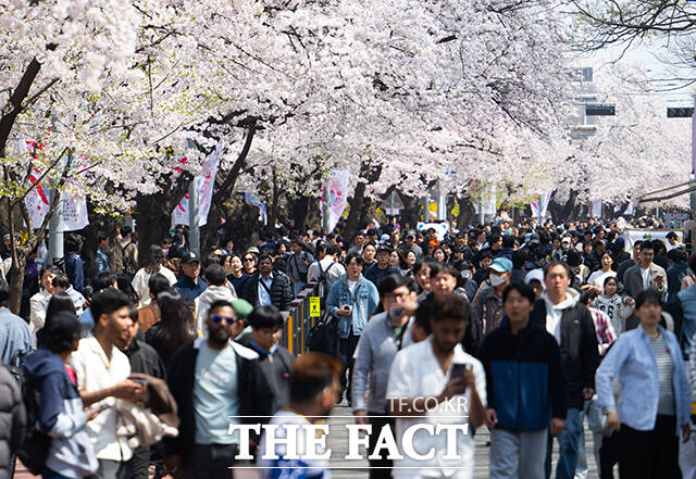 5일 오후 서울 여의도 윤중로가 '여의도 봄꽃축제'를 찾은 시민들로 북적이고 있다. /박헌우 기자
