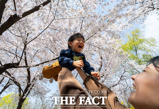 5일 오후 서울 여의도 윤중로가 '여의도 봄꽃축제'를 찾은 시민들로 북적이고 있다. /박헌우 기자