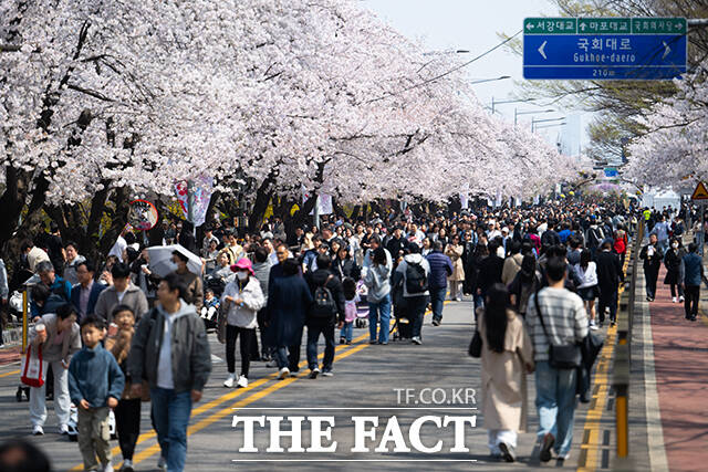 5일 오후 서울 여의도 윤중로가 '여의도 봄꽃축제'를 찾은 시민들로 북적이고 있다. /박헌우 기자