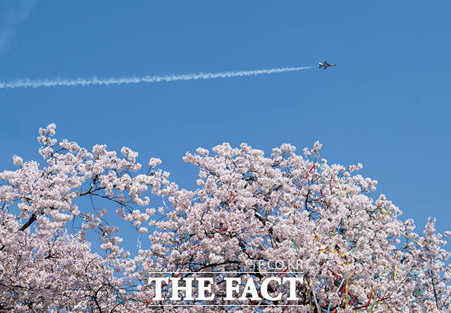공군 특수비행팀 블랙이글스가 5일 오후 서울 여의도 상공에서 '여의도 봄꽃축제' 축하비행을 펼치고 있다. /박헌우 기자