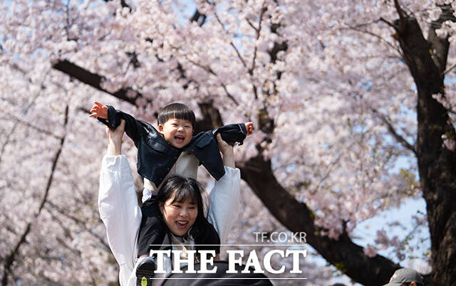 5일 오후 서울 여의도 윤중로가 '여의도 봄꽃축제'를 찾은 시민들로 북적이고 있다. /박헌우 기자