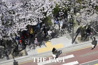  식목일 여의도 벚꽃길 찾은 시민들 [TF사진관]