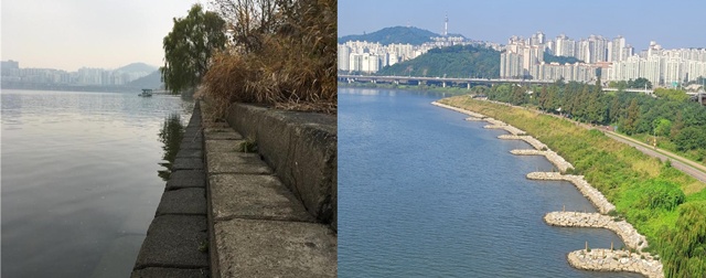 뚝섬이 '자연형 호안' 복원을 시작한 전(왼쪽)과 후의 모습이다. /서울시