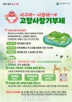  대전시 서구, 고향사랑기부제 답례품 공급업체 모집