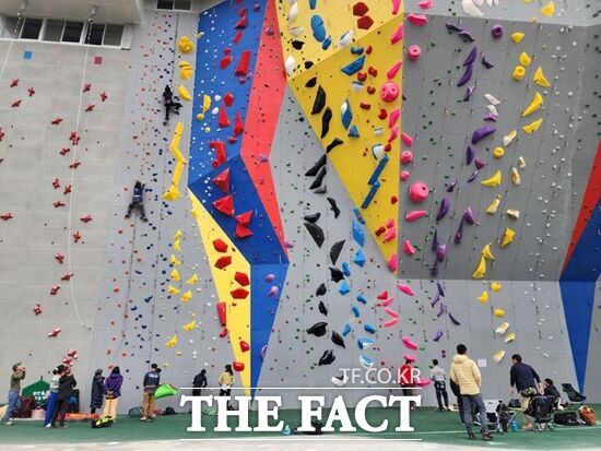 경기 파주시가 1일 개장한 금릉동 파주스타디움 부지 내 국제규격 인공암벽장을 찾은 시민과 동호인들이 클라이밍을 즐기고 있다. /파주시