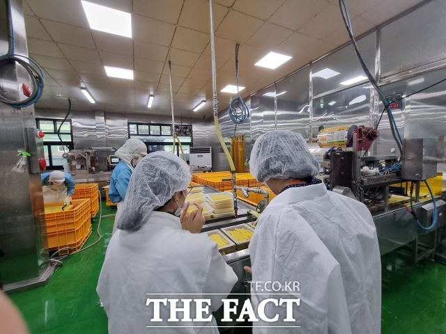 광주시가 식품(첨가물)제조업체의 위생관리등급 평가를 실시할 예정이다. /광주시