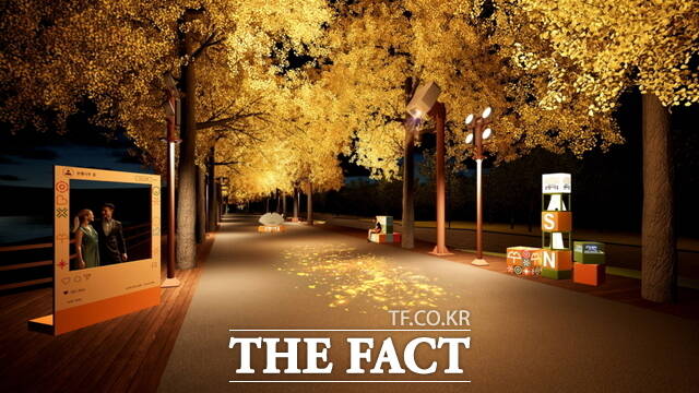 아산시 곡교천 은행나무길이 야간경관 기본계획에 따라 조명이 설치된 모습. /아산시