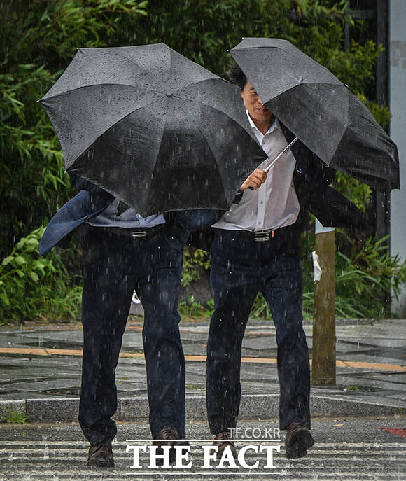 목요일인 9일은 오전부터 전국에 비가 내리고 오후부터 바람이 매우 강하게 불겠다. /더팩트 DB