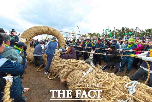 2025 당진 기지시줄다리기 행사 장면. /당진시