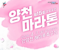  안양천 따라 달린다…11일 양천구 마라톤 대회 '#벚꽃런'