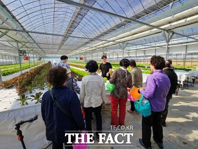 정미면 돌봄 나눔 네트워크 어르신 대상 원예 치유 프로그램 운영 모습. /당진시
