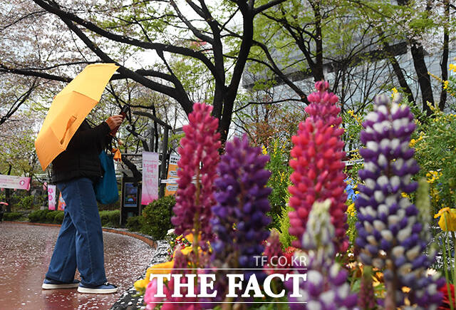 봄비가 이틀째 이어진 10일 오전 서울 송파구 석촌호수공원을 찾은 시민들이 우산을 쓰고 둘레길을 산책하고 있다. /박상민 기자